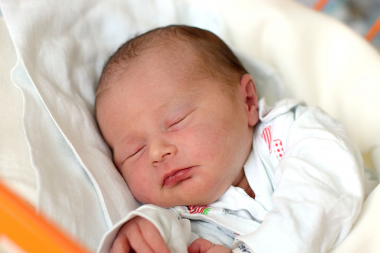 Palečková Kateřina