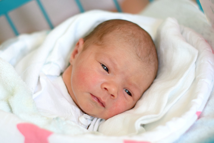 Karlíčková Kateřina