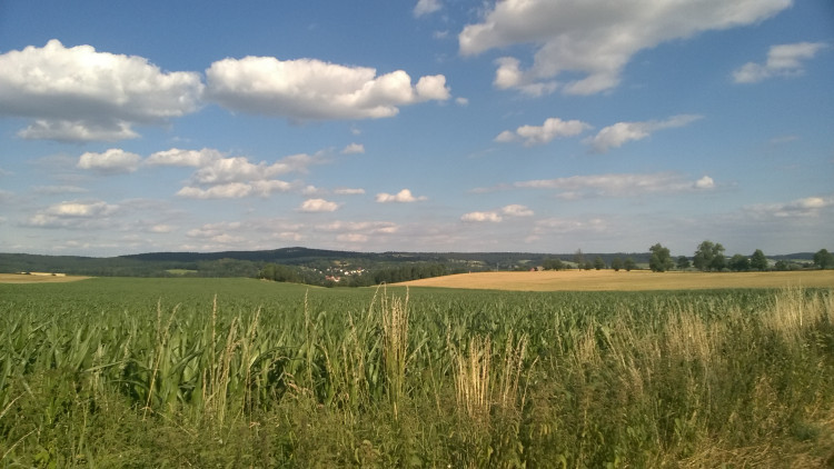 Letní soutěž o plecháček