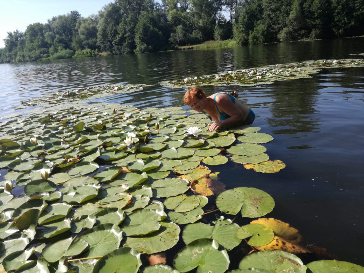 Letní soutěž o plecháček. Hlasujte!