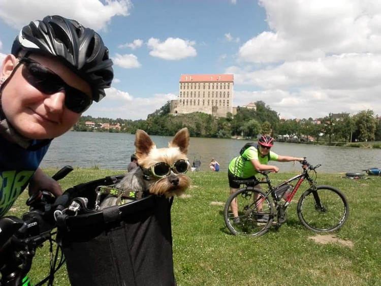 Letní soutěž o plecháček. Hlasujte!