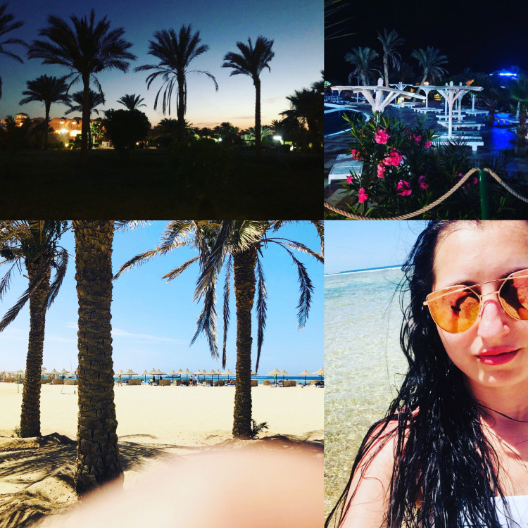 Letní soutěž o plecháček. Hlasujte!