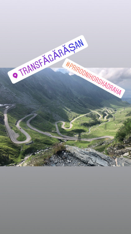 Letní soutěž o plecháček. Hlasujte!