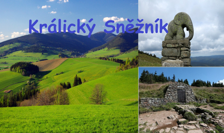 Letní soutěž o plecháček. Hlasujte!