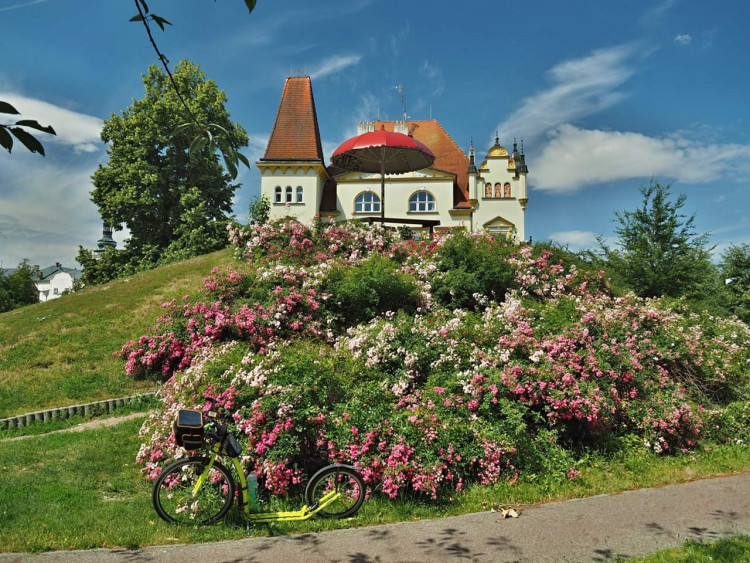 Letní soutěž o plecháček. Hlasujte!