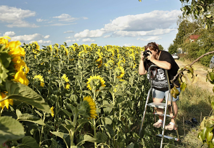 Letní soutěž o plecháček. Hlasujte!