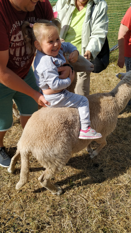Letní soutěž o plecháček. Hlasujte!