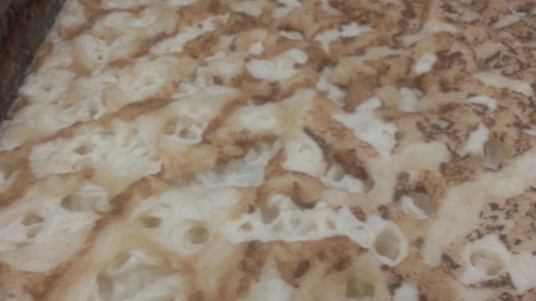 Letní soutěž o plecháček. Hlasujte!