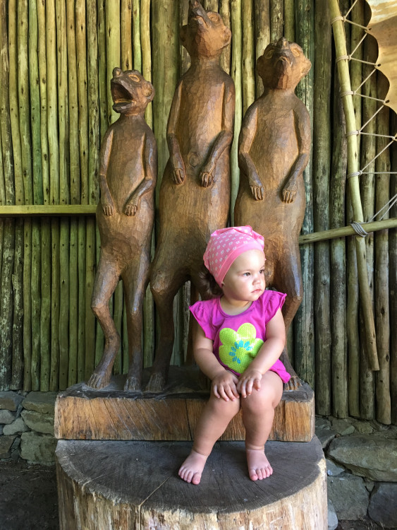 Letní soutěž o plecháček. Hlasujte!