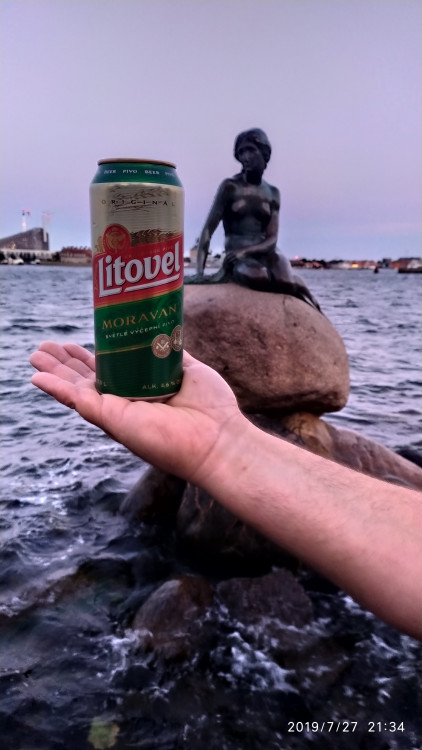 Letní soutěž o plecháček. Hlasujte!