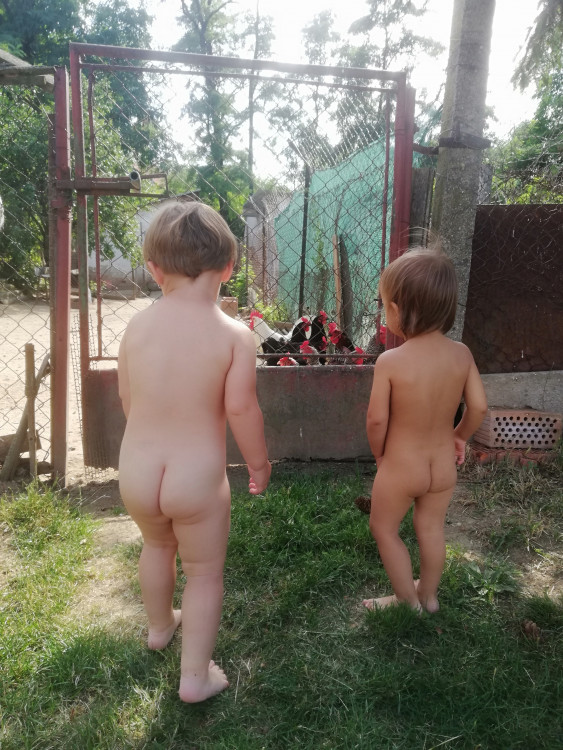 Letní soutěž o plecháček. Hlasujte!