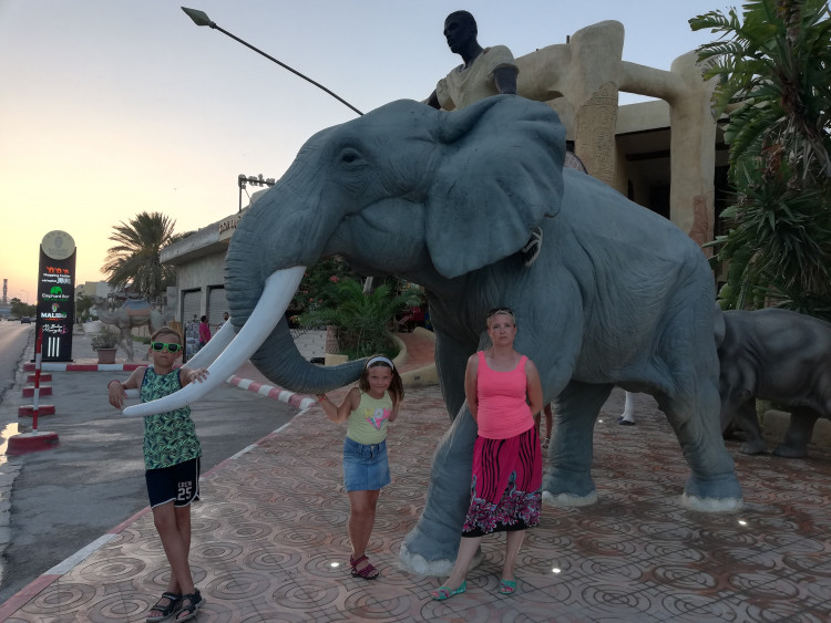 Letní soutěž o plecháček. Hlasujte!