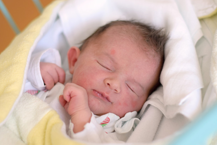 Slepičková Veronika