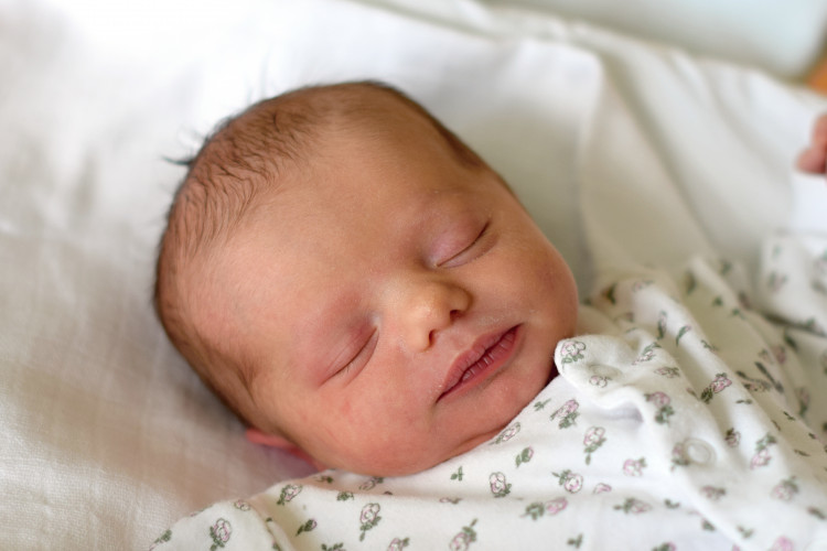 Slobodníková Aneta