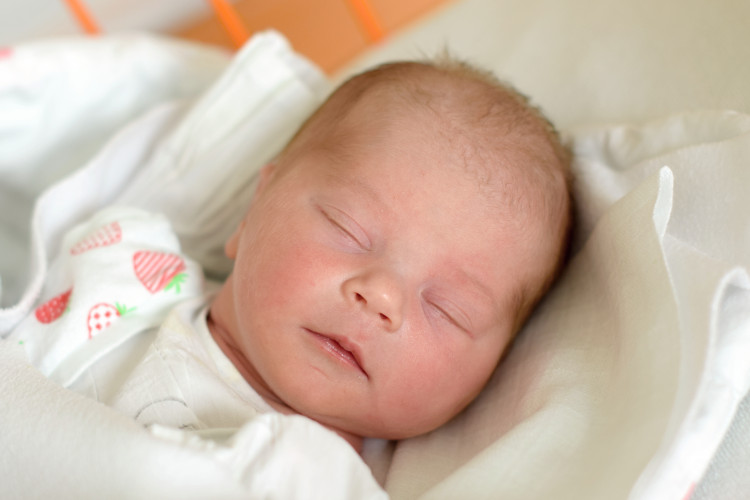 Havlíčková Veronika