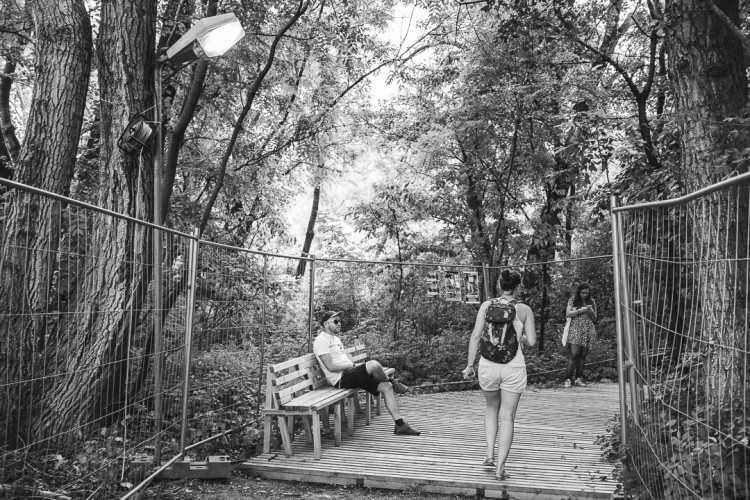 Dva dny života pod topolovým hájkem