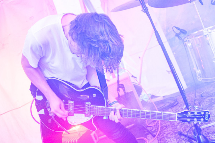 Dva dny života pod topolovým hájkem