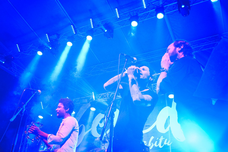 Dva dny života pod topolovým hájkem