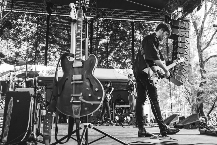 Dva dny života pod topolovým hájkem