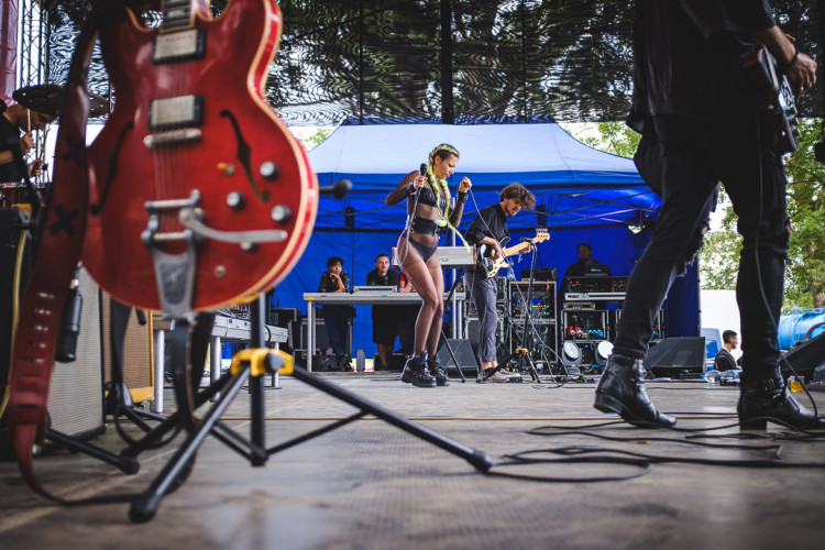 Dva dny života pod topolovým hájkem