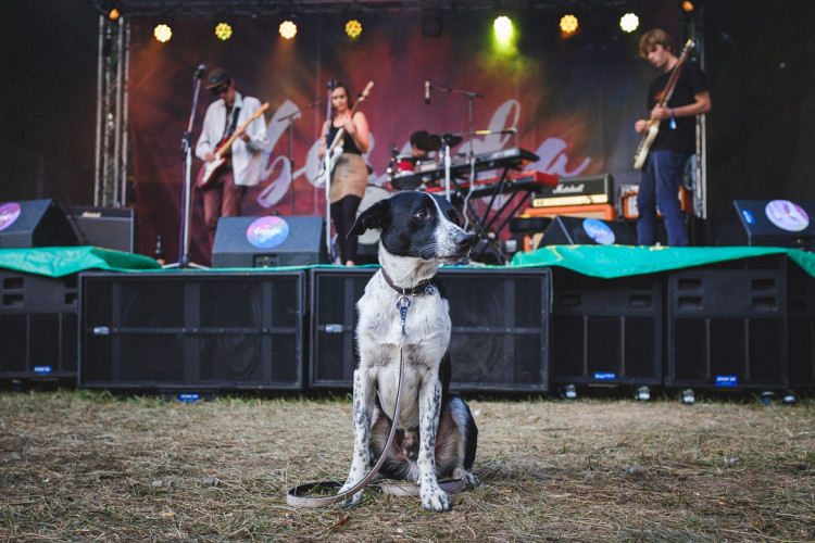 Dva dny života pod topolovým hájkem
