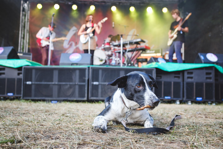 Dva dny života pod topolovým hájkem