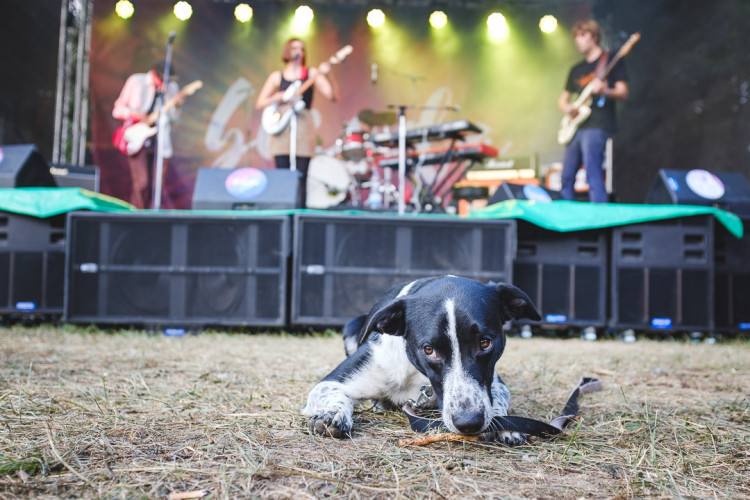 Dva dny života pod topolovým hájkem
