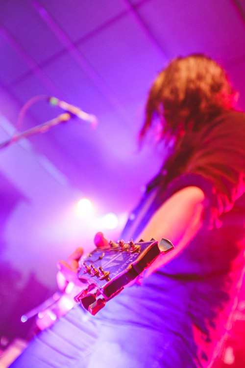 Dva dny života pod topolovým hájkem