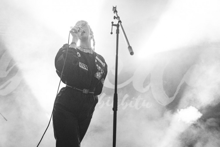 Dva dny života pod topolovým hájkem