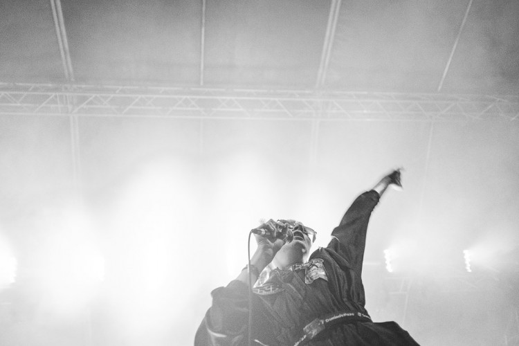 Dva dny života pod topolovým hájkem