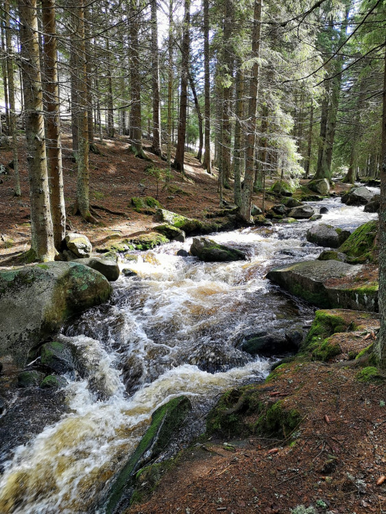 Jsem amatér, fotím si jen pro radost, říká známý Budějčák Tomáši Fotím Nakaši
