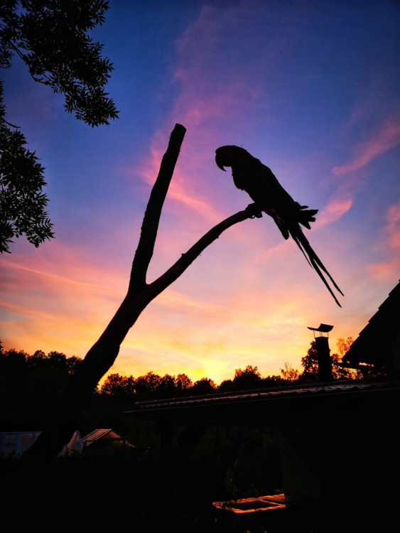 Jsem amatér, fotím si jen pro radost, říká známý Budějčák Tomáši Fotím Nakaši