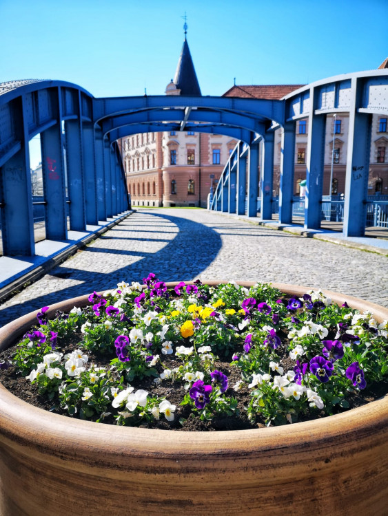 Jsem amatér, fotím si jen pro radost, říká známý Budějčák Tomáši Fotím Nakaši