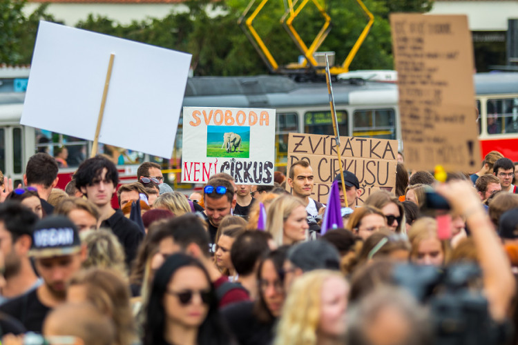 Pochodu za práva zvířat se zúčastnily stovky lidí