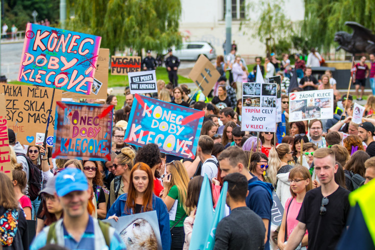 Pochodu za práva zvířat se zúčastnily stovky lidí