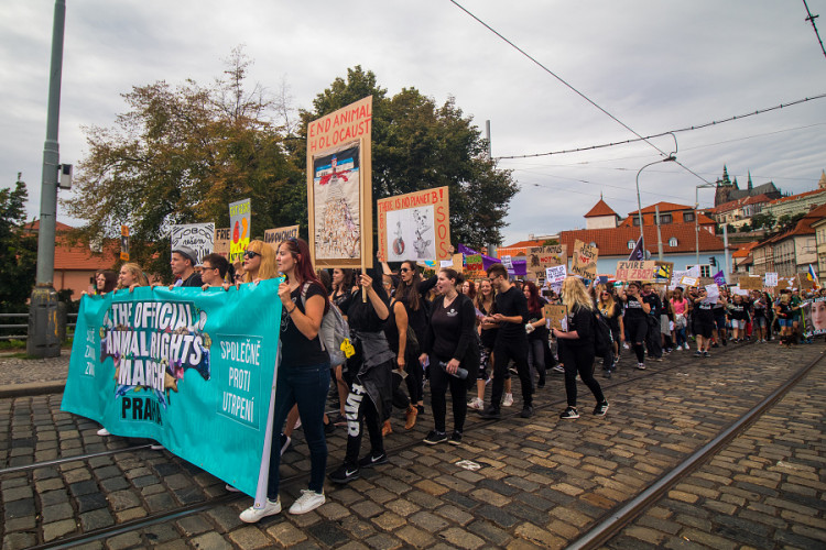 Pochodu za práva zvířat se zúčastnily stovky lidí