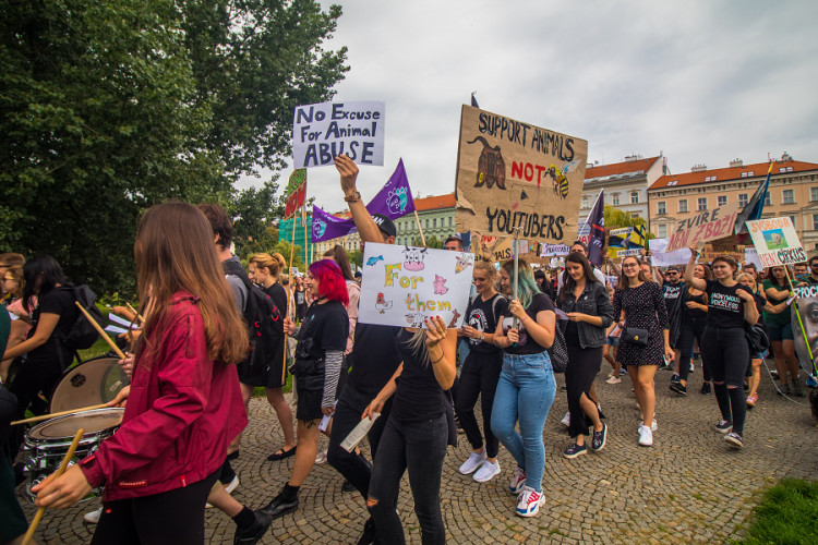 Pochodu za práva zvířat se zúčastnily stovky lidí