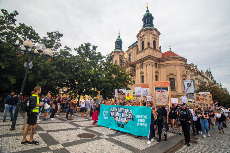 Pochodu za práva zvířat se zúčastnily stovky lidí