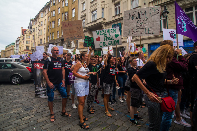 Pochodu za práva zvířat se zúčastnily stovky lidí