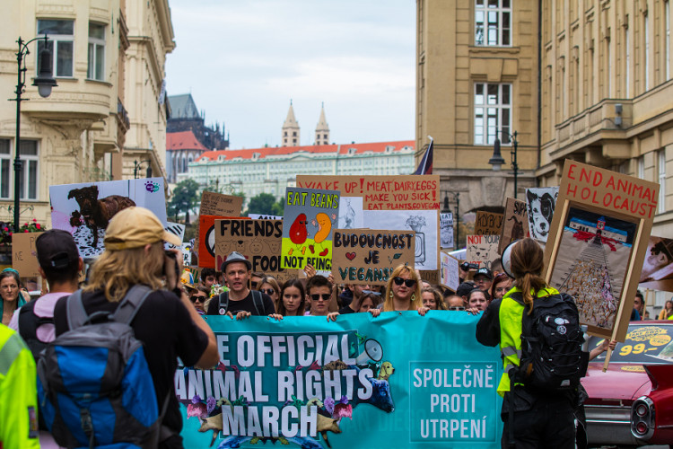 Pochodu za práva zvířat se zúčastnily stovky lidí