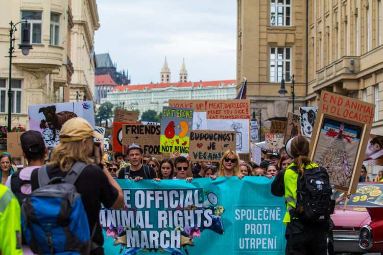 Pochodu za práva zvířat se zúčastnily stovky lidí