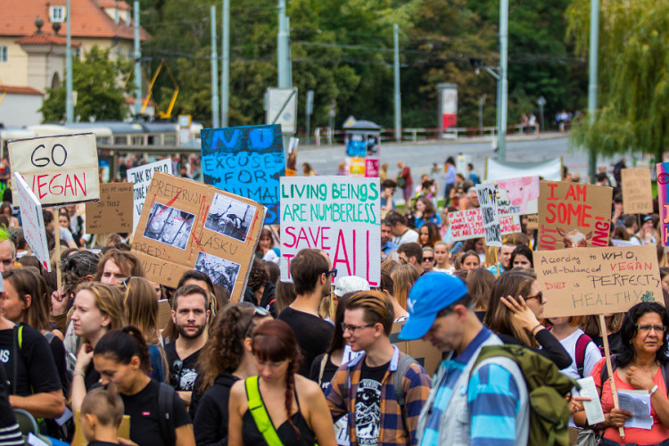 Pochodu za práva zvířat se zúčastnily stovky lidí