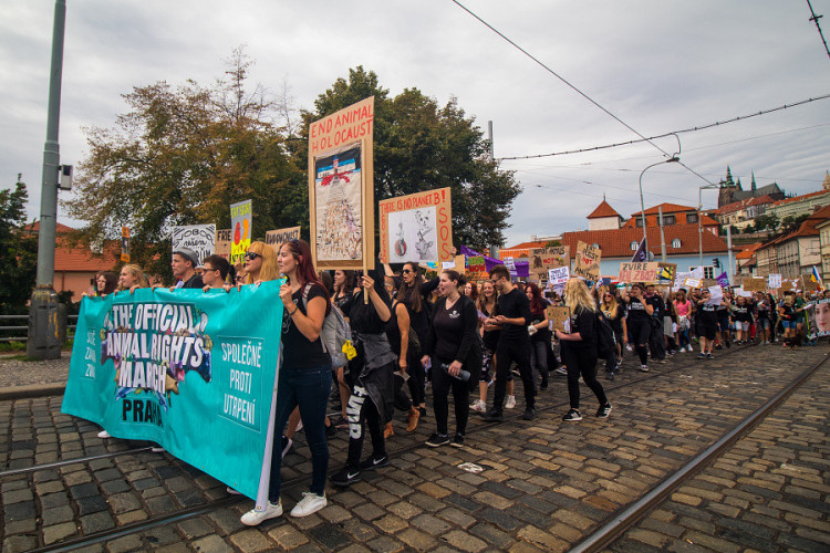Pochodu za práva zvířat se zúčastnily stovky lidí