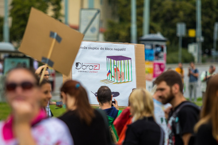 Pochodu za práva zvířat se zúčastnily stovky lidí