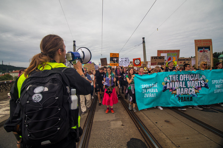 Pochodu za práva zvířat se zúčastnily stovky lidí