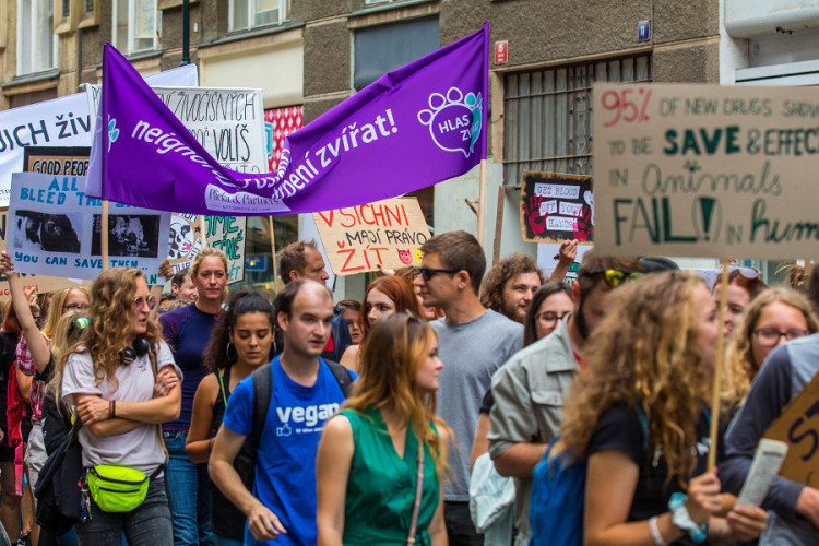 Pochodu za práva zvířat se zúčastnily stovky lidí