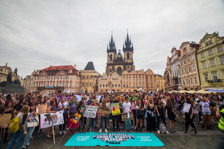 Pochodu za práva zvířat se zúčastnily stovky lidí