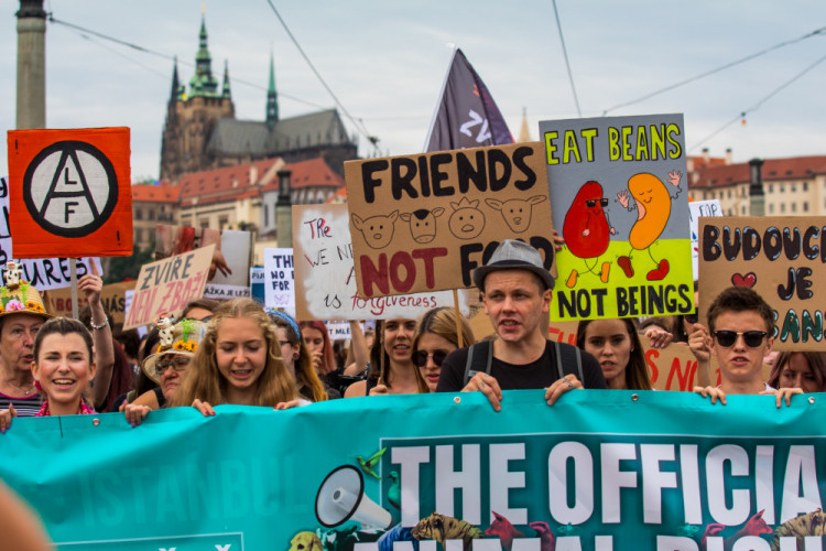 Pochodu za práva zvířat se zúčastnily stovky lidí