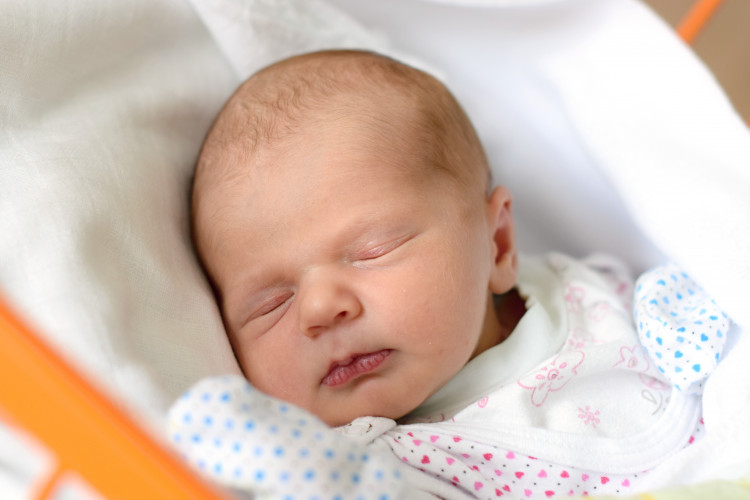 Študentová Josefína