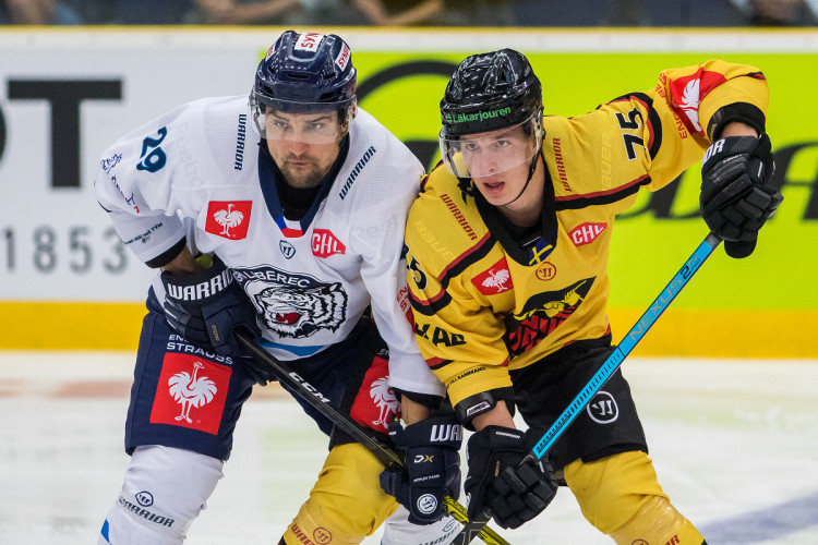 Tygři na Luleou nevyhráli. O výhře se rozhodlo v prodloužení